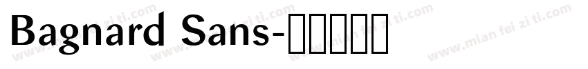 Bagnard Sans字体转换